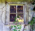 Picture Title - Cemetary Window