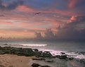 Picture Title - Condado Sunset