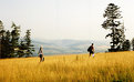 Picture Title - mountain paths