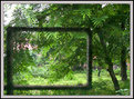 Picture Title - Through My Window