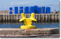 Picture Title - Out, fishing!