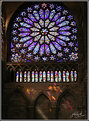Picture Title - St. Denis-2: Rose Glow