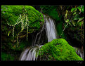 Picture Title - ...waterfall...