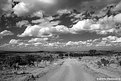 Picture Title - .:: Red road (b&w) ::.