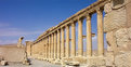 Picture Title - Palmyra (Tadmor)