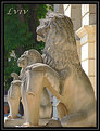 Picture Title - City of Lions