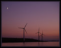 Picture Title - Windmills