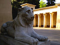 Picture Title - rome3