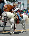 Picture Title - little horse little rider