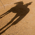 Picture Title - Horsewoman in Control