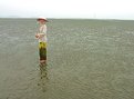 Picture Title - Clam Field Worker