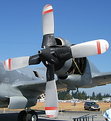 Picture Title - P - 3 Propeller