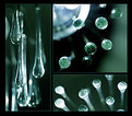 Picture Title - Glass drops