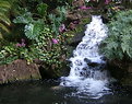 Picture Title - Hawaiian Waterfall