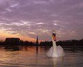 Picture Title - Swan Lake 2