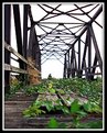 Picture Title - Old Train Bridge