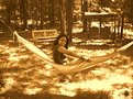 Picture Title - Life on a hammock