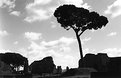 Picture Title - le rovine di Roma