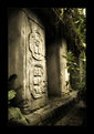 Picture Title - Maya Ruin