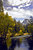 Yosemite Inspiration