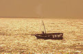 Picture Title - Zanzibar......