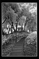 Picture Title - Kent Ridge Stairway