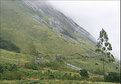 Picture Title - Iravikulam National Park