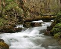 Picture Title - Stream