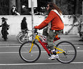 Picture Title - Passeggiando in bicicletta