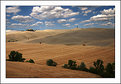 Picture Title - Crete Senesi II