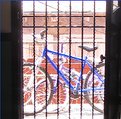 Picture Title - Blue Bike