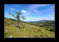 Picture Title - The Comeraghs