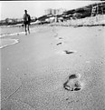 Picture Title - Temporary footprints