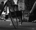 Picture Title - A dog and his bike