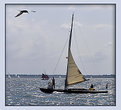 Picture Title - Classic yacht- regatta