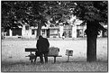 Picture Title - Man in the park