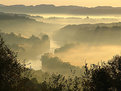 Picture Title - Misty Morning