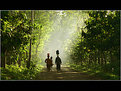 Picture Title - Going to the duty