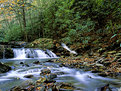 Picture Title - fall in the smokies