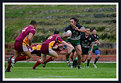 Picture Title - Rugby League Premier