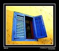 Picture Title - Friendship of Yellow & Blue ii