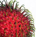 Picture Title - Rambutan