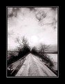 Picture Title - Frozen road