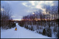 Picture Title - winter trail sunset