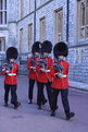 Picture Title - Changing of Guards