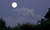 Mt. Rainier In Moonlight