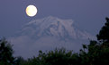 Picture Title - Mt. Rainier In Moonlight