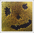 Picture Title - Smiley in sunflower ;-)