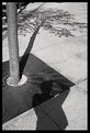 Picture Title - Untitled