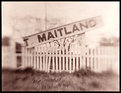 Picture Title - T Maitland